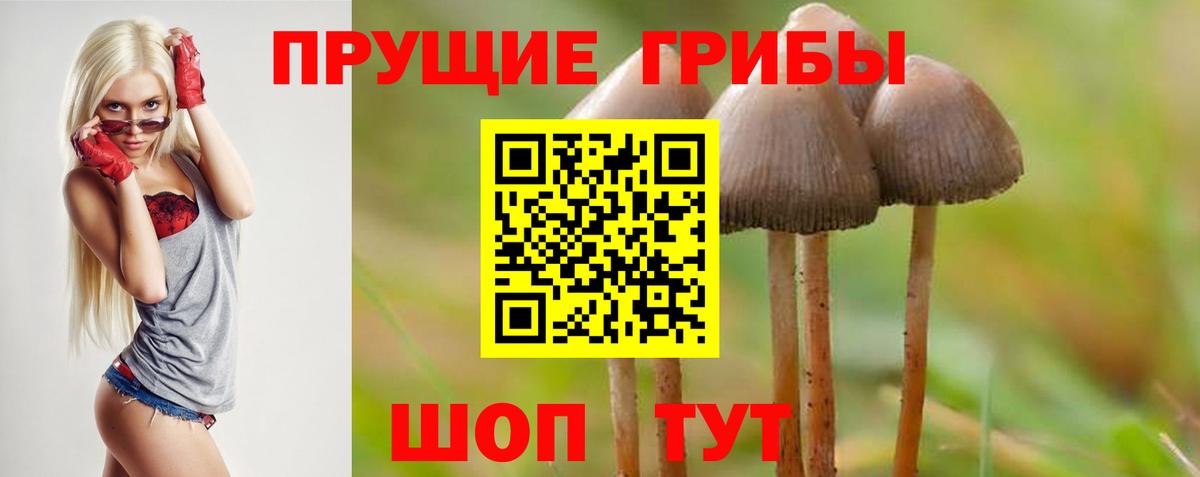 Красноармейск  Галлюциногенные грибы ЛСД  купить   Вход с VPN 
